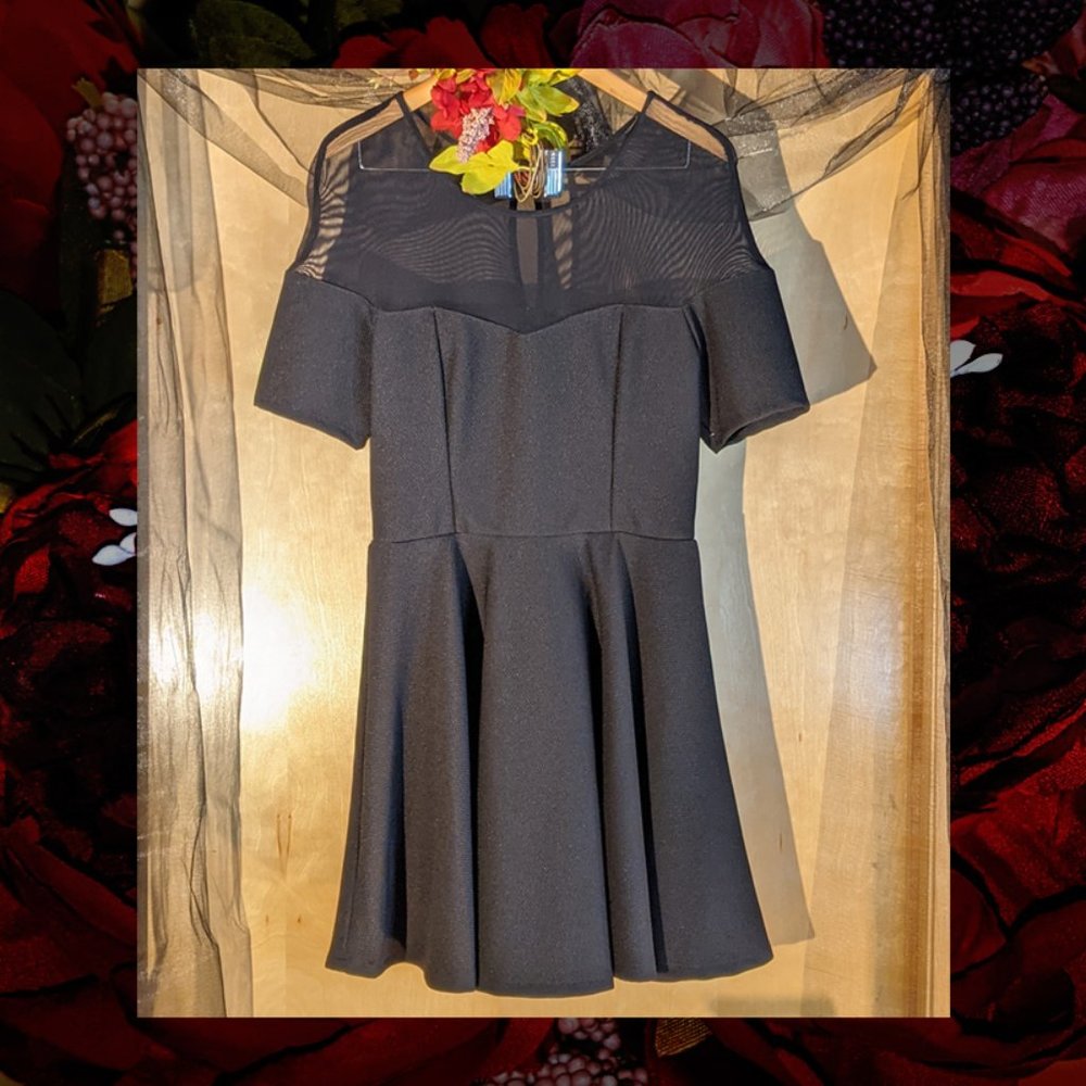 Trixxi Little Black Dress_Size 13